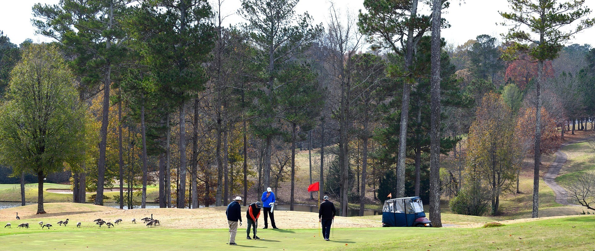 golf course golf course